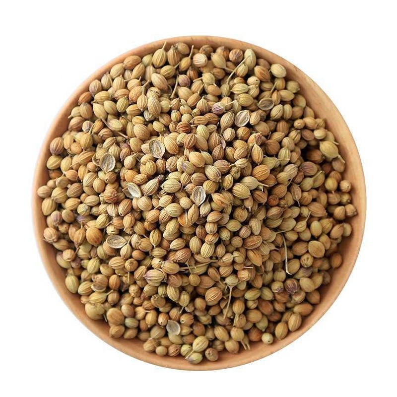 Coriander Seeds Manufacturer - Bulk Natural Herbs