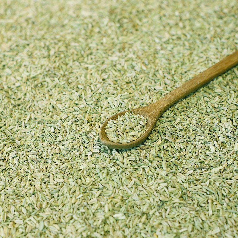 Fennel Seeds Factory - Wholesale Natural Spice