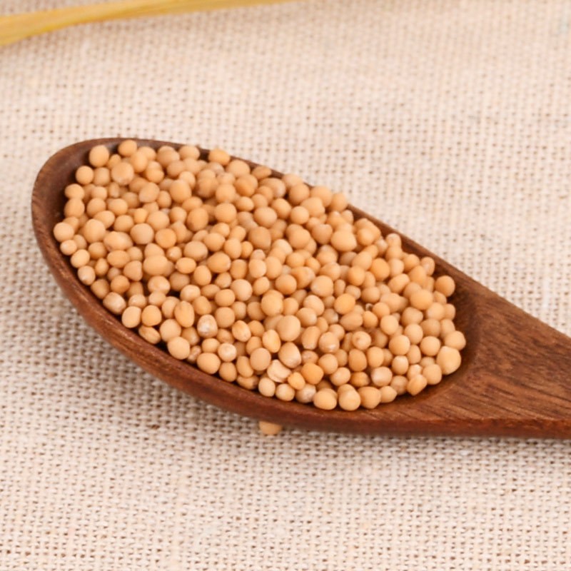 Yellow Mustard Seed Factory - Single Spice Seasonings