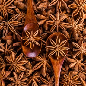 Whole Star Anise Factory - Natural Brown Spice