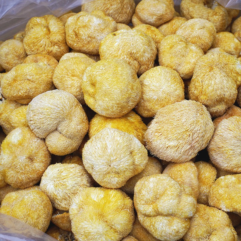 Lion Mane Mushroom Supplier - Whole Dried Cooking