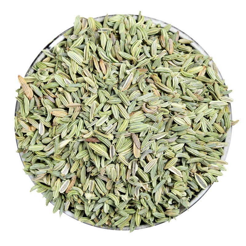 Green Fennel Seeds Supplier - Bulk Single Spices