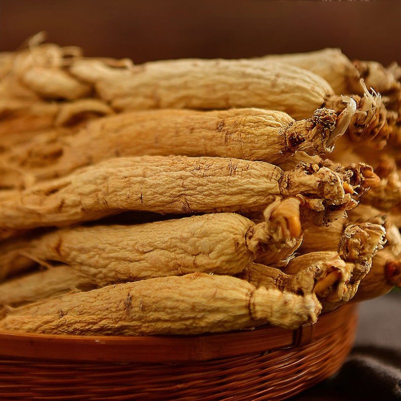 Ginseng Root Manufacturer - Natural Wild Panax