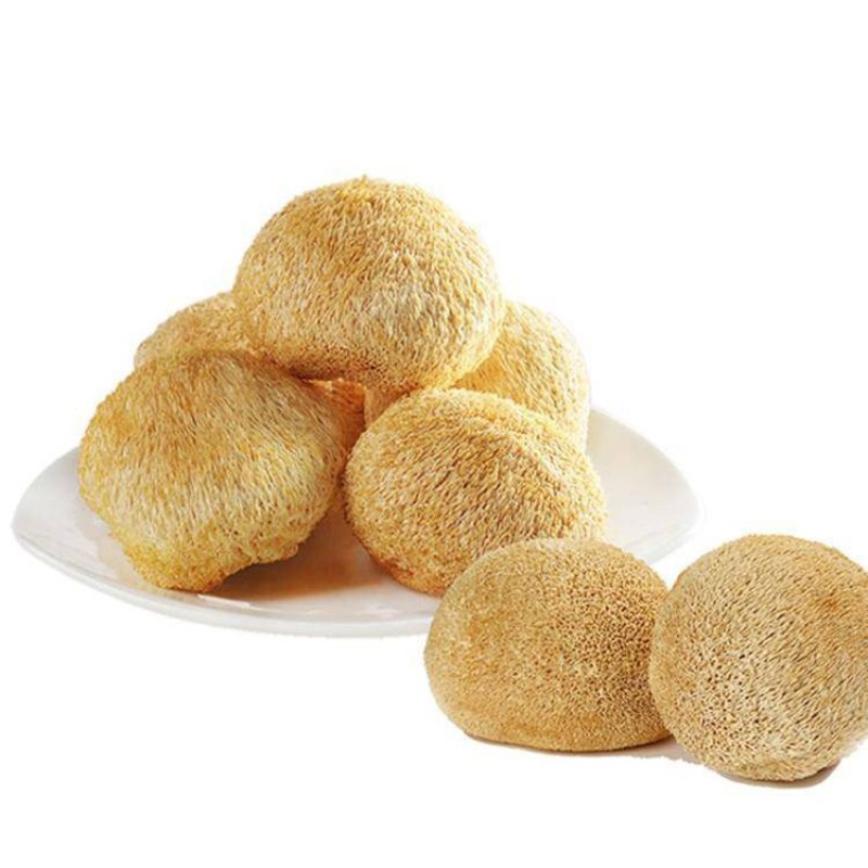 Lion Mane Mushroom Supplier - Whole Dried Cooking