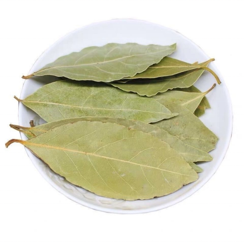 Laurel Leaves Supplier - Nature Color Single Spice