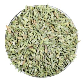 Fennel Seeds Factory - Wholesale Natural Spice