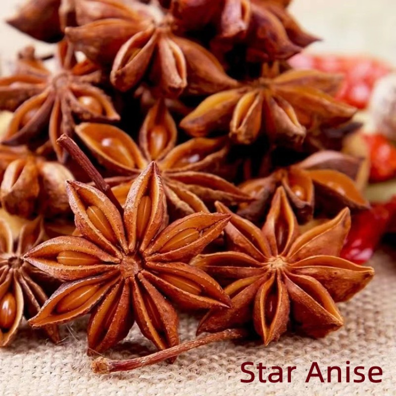 Whole Star Anise Factory - Natural Brown Spice