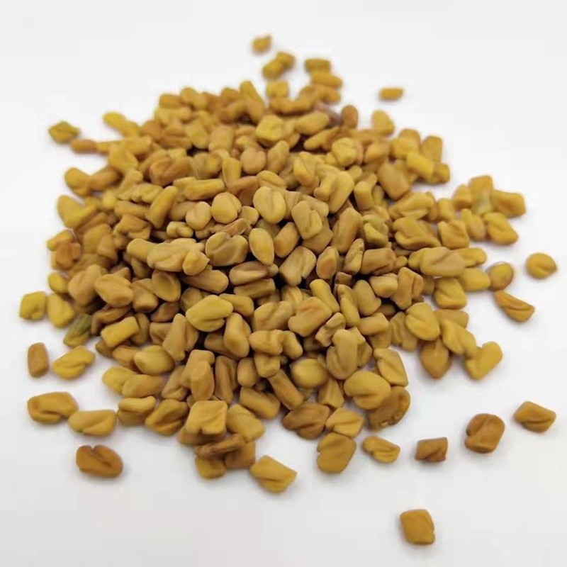 Fenugreek Seeds Manufacturer - Organic Herbs Tea