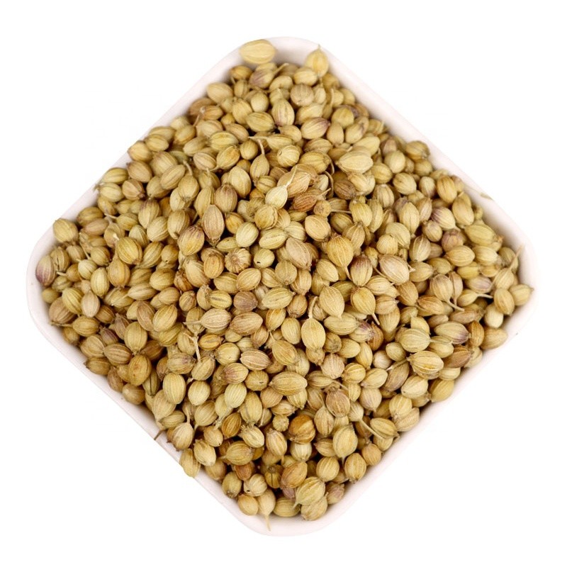 Coriander Seeds Manufacturer - Bulk Natural Herbs