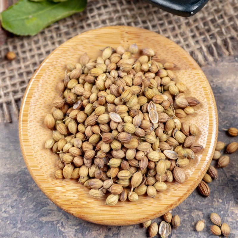 Coriander Seeds Manufacturer - Organic Spices Seasoning