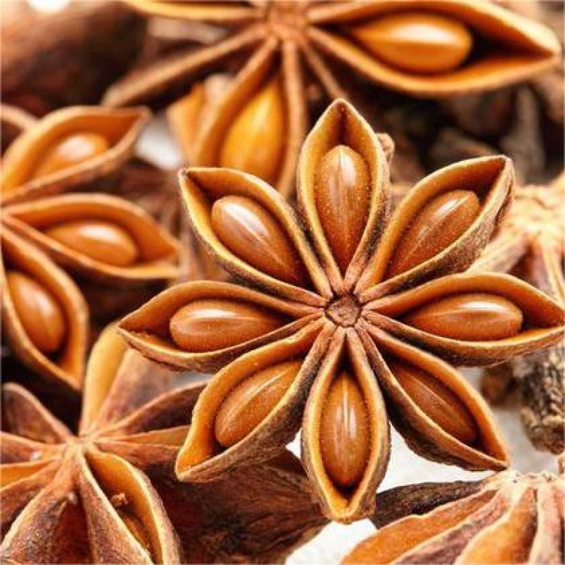 Star Aniseed Supplier - Guangxi Natural Hot Seller