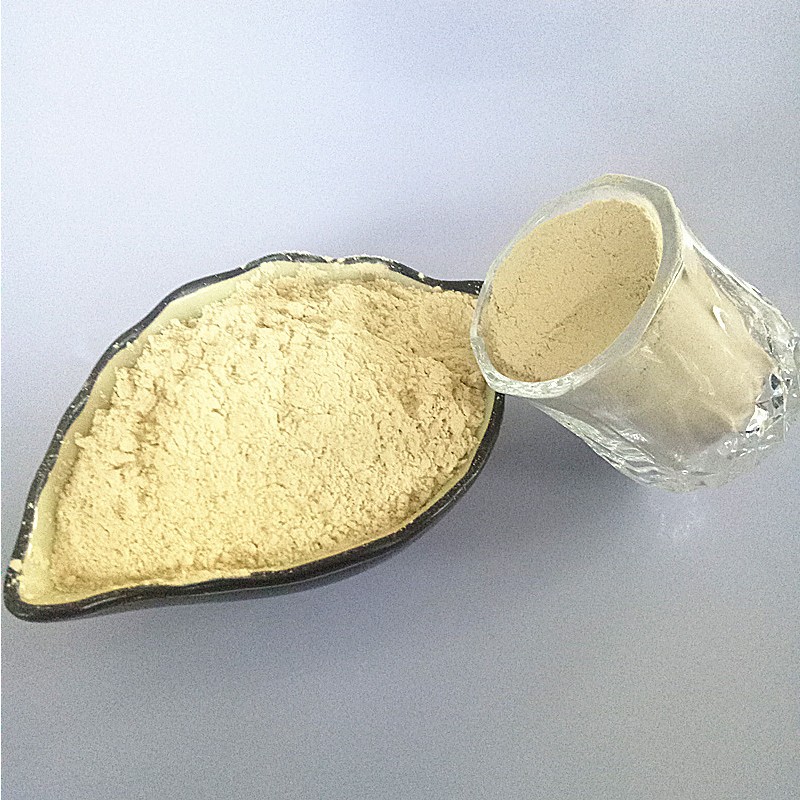 Garlic Powder Manufacturer - Food Grade Dehydrated