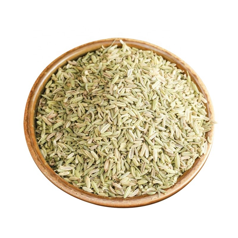 Green Fennel Seeds Supplier - Bulk Single Spices