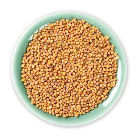 Mustard Seeds Supplier - Reliable Bulk Food
