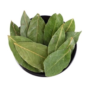 Bay Leaves Supplier - Wholesale Food Spice