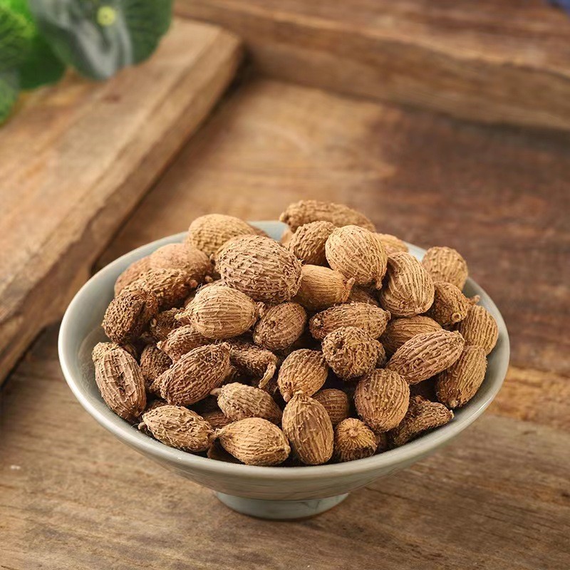 Amomum Villosum Supplier - China Spice Fruit