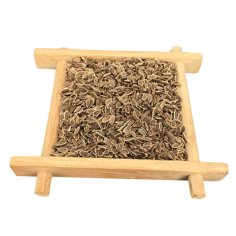 Dill Seeds Factory - Natural Herbs Spices