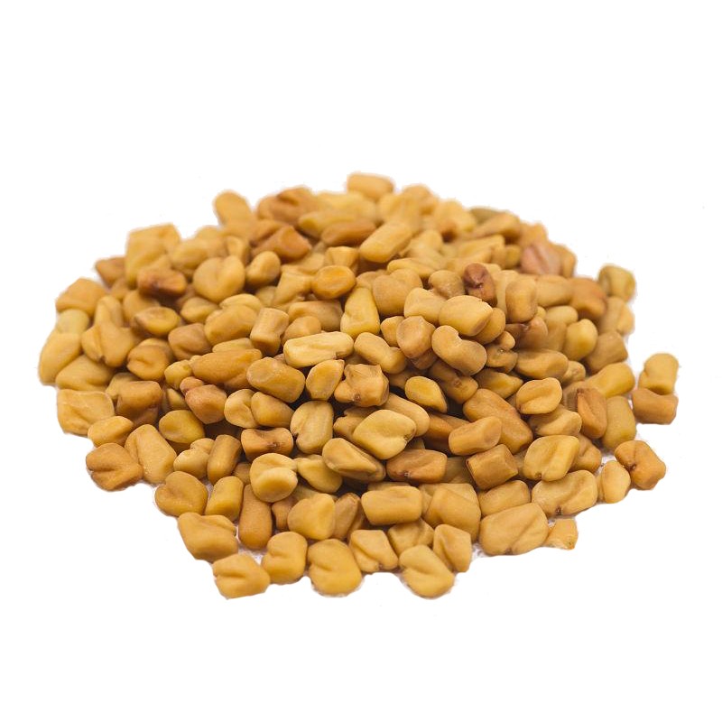 Fenugreek Seed Supplier - Wholesale Herb Spice