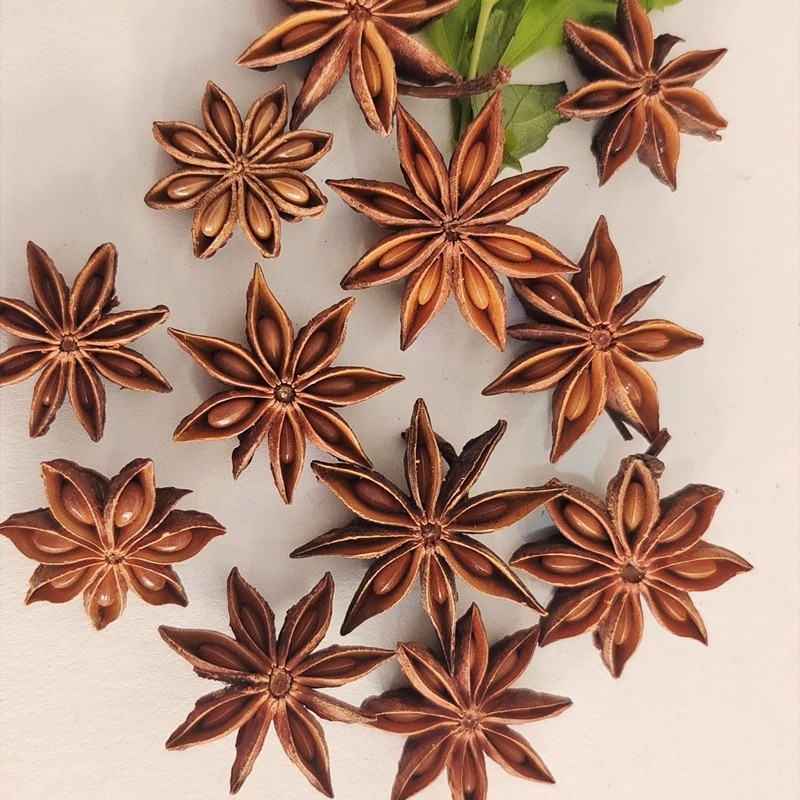 Star Anise Seeds Factory - Customized Whole Spice