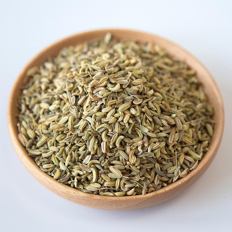 Green Fennel Seeds Supplier - Bulk Single Spices