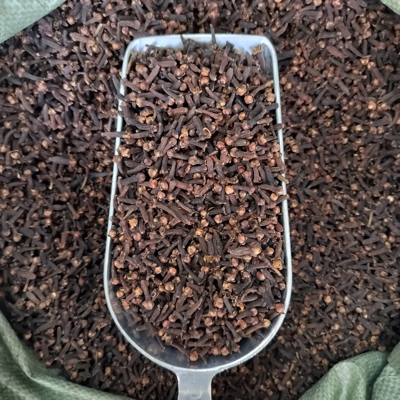Premium Cloves Manufacturer - China Wholesale Spice