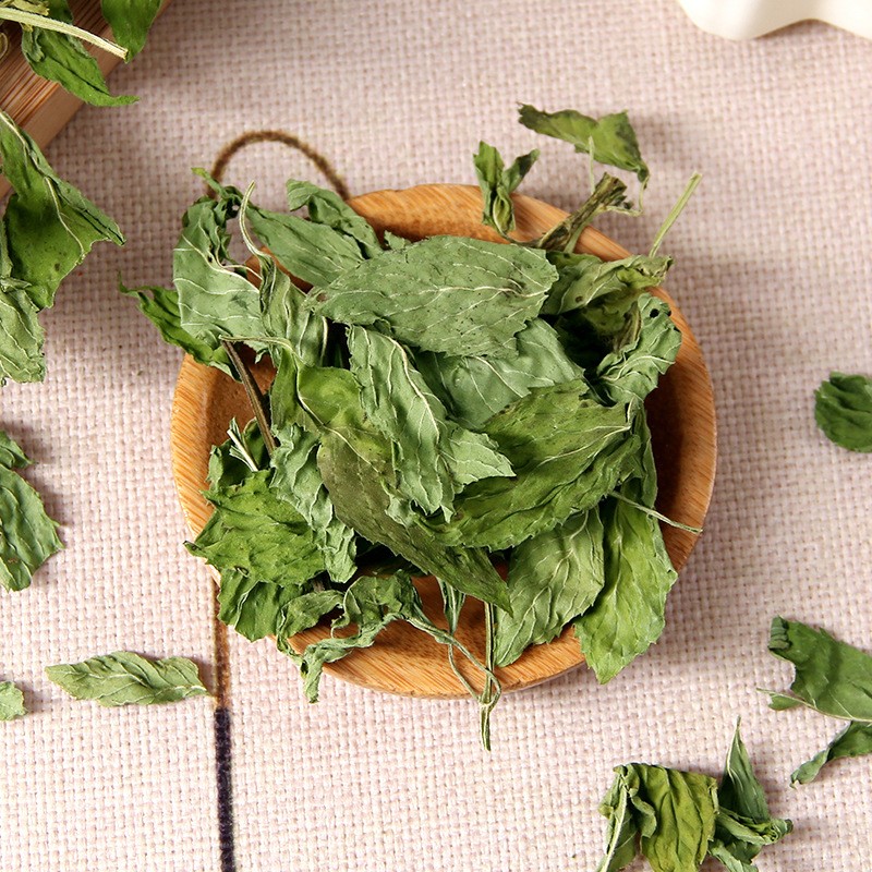 Mint Leaves Tea Supplier - Bulk Dried Herb