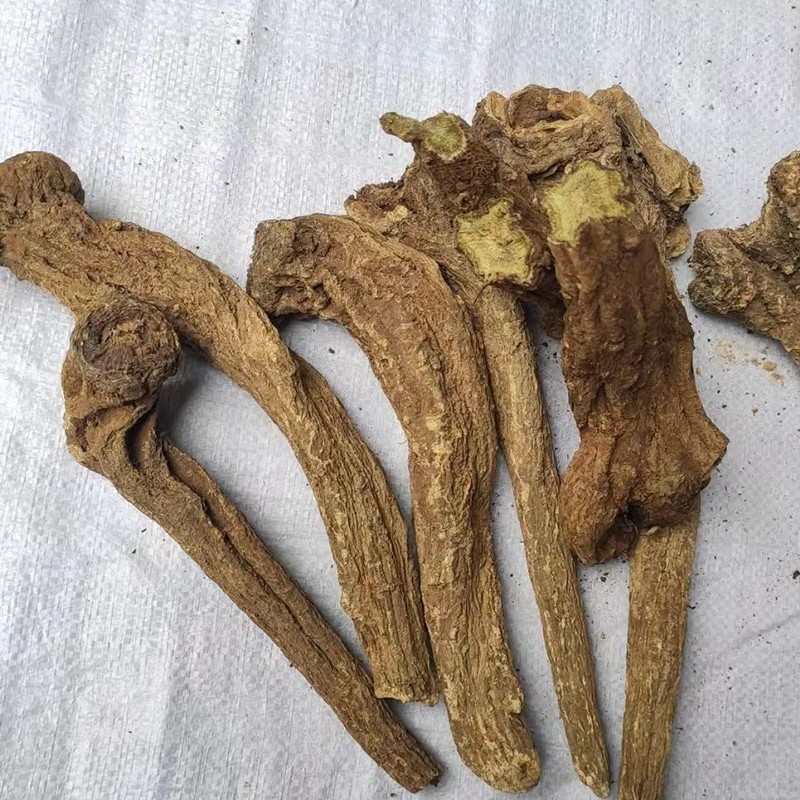 Saussurea Costus Supplier - Low Price Herbs Spice