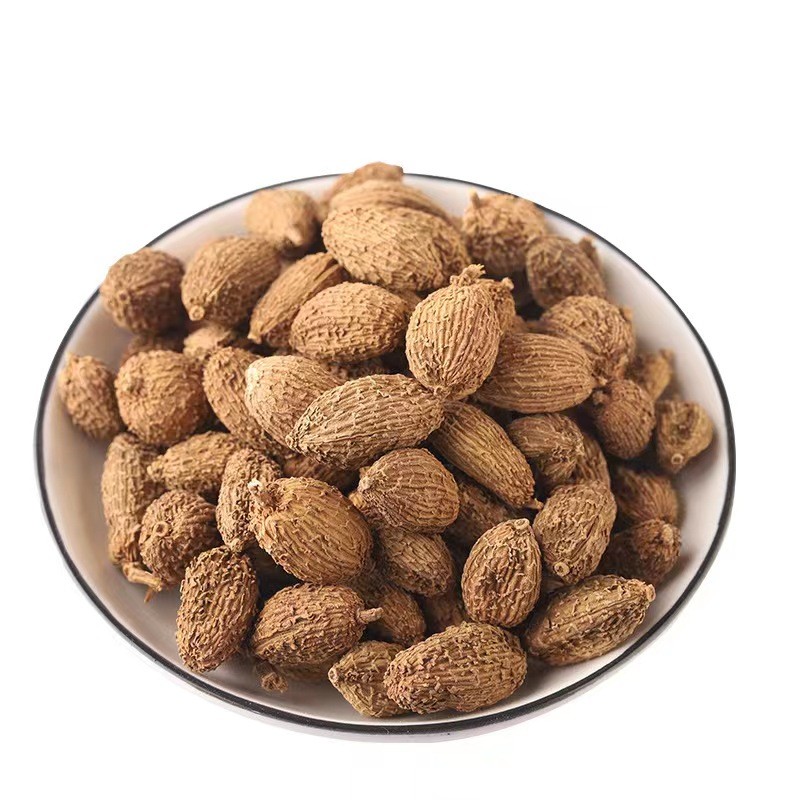 Amomum Villosum Supplier - China Spice Fruit
