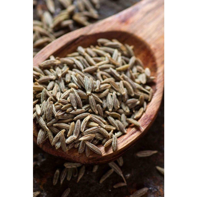 Whole Cumin Seeds Factory - Wholesale Single Spice
