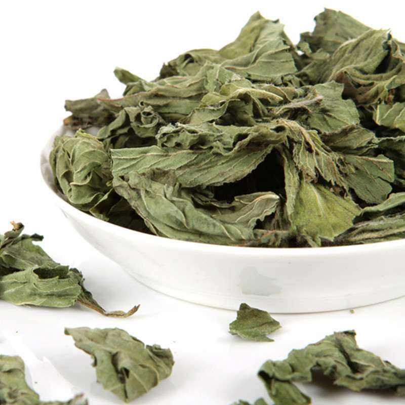 Mint Leaves Tea Supplier - Bulk Dried Herb