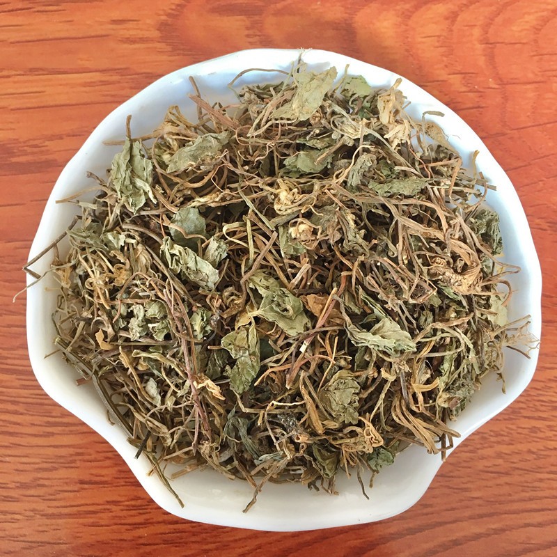 Centella Asiatica Factory - Natural Herbs Wholesales