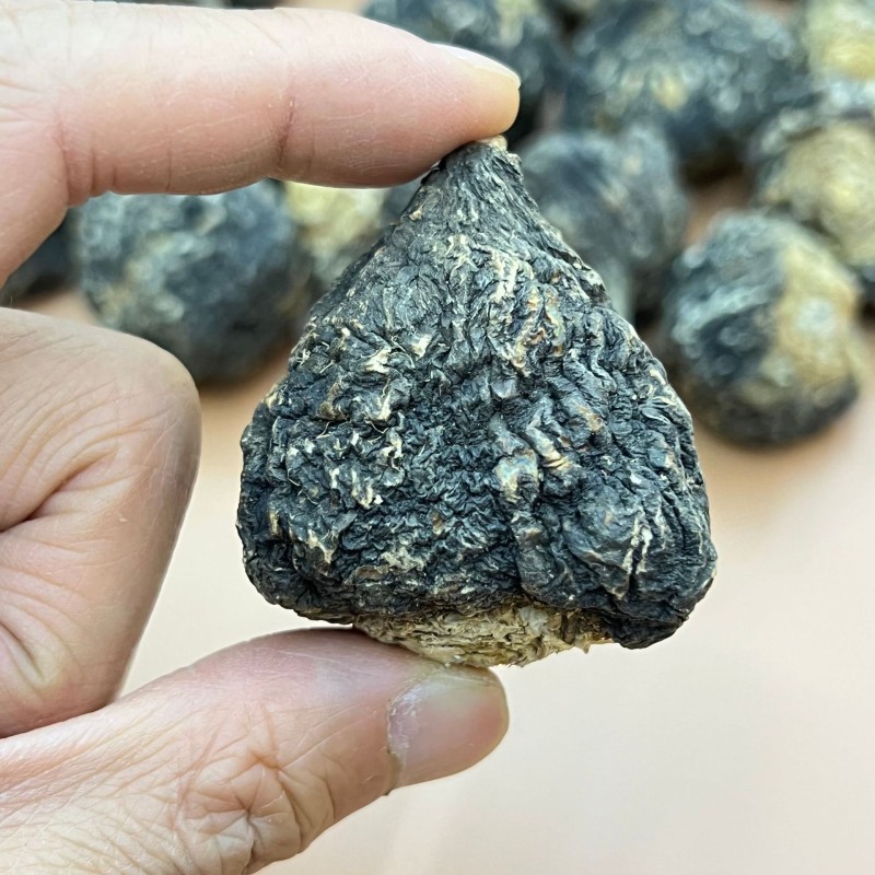 Black Maca Root Factory - Energy Herbal Tea Man