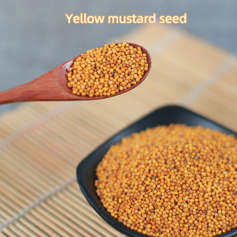 Yellow Mustard Seeds Factory - Single Spices Seasoning