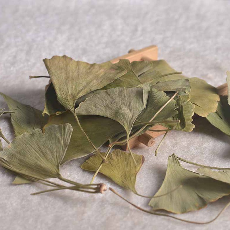 Gingko Leaf Supplier - Good Price Spice Herb