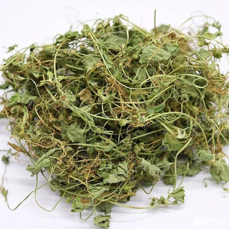 Centella Asiatica Factory - Natural Herbs Wholesales