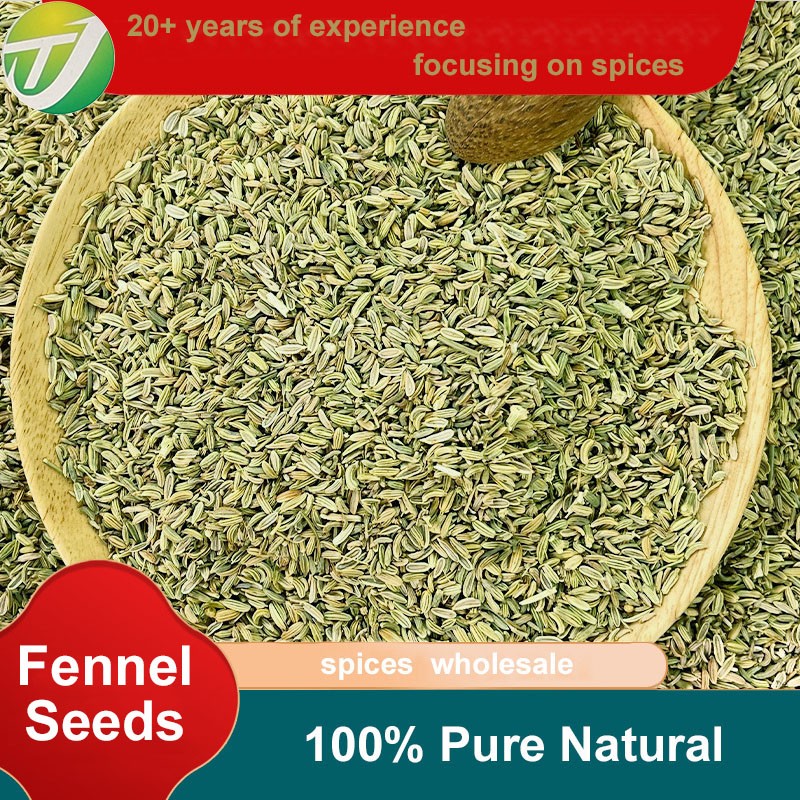 Fennel Seeds Factory - Wholesale Natural Spice