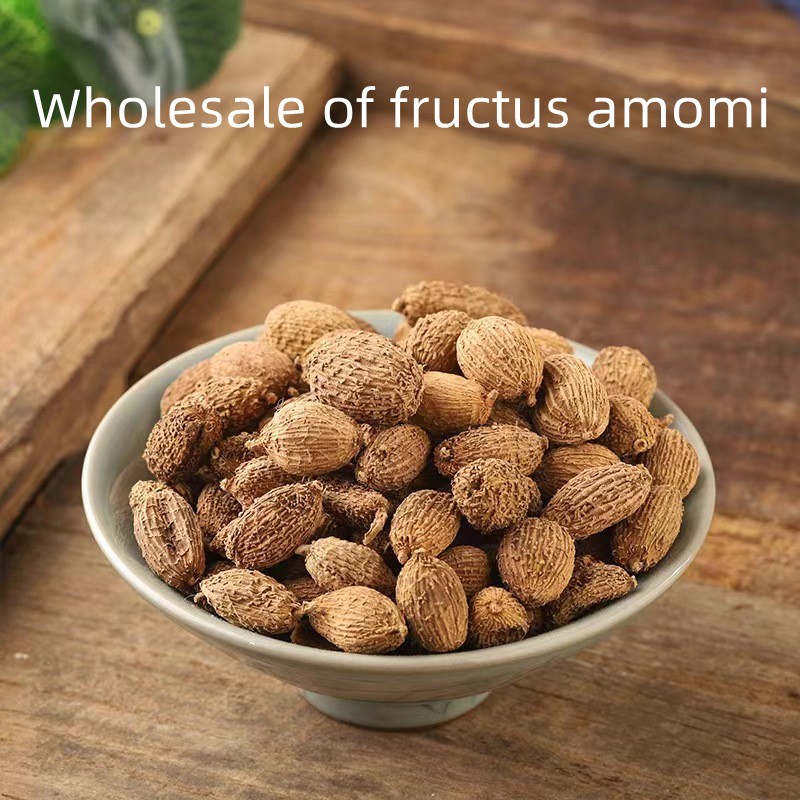 Amomum Villosum Supplier - China Spice Fruit