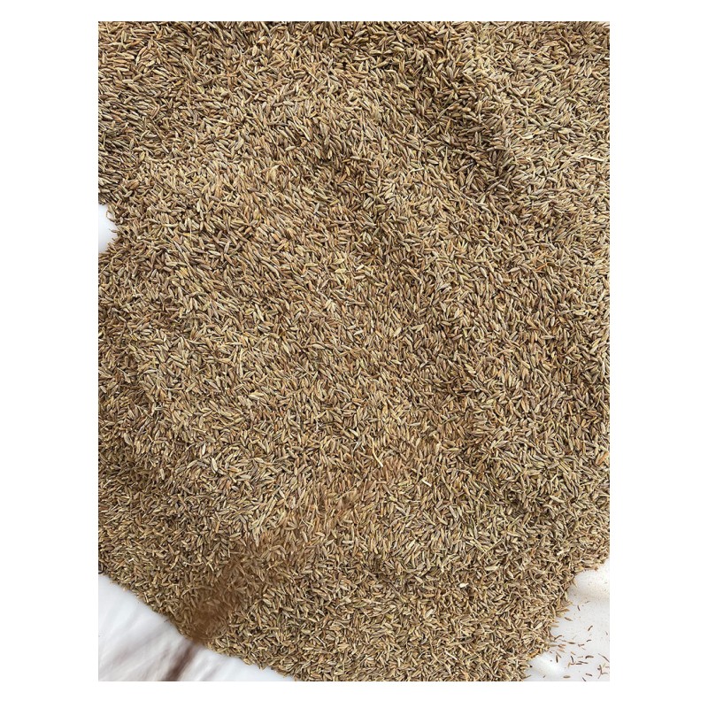 Cumin Granules Supplier - Xinjiang Pure Natural