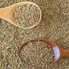 Dried Cumin Seeds Supplier - Good Quality Seasoning