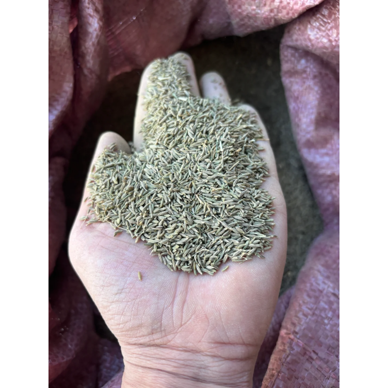 Cumin Granules Supplier - Xinjiang Pure Natural