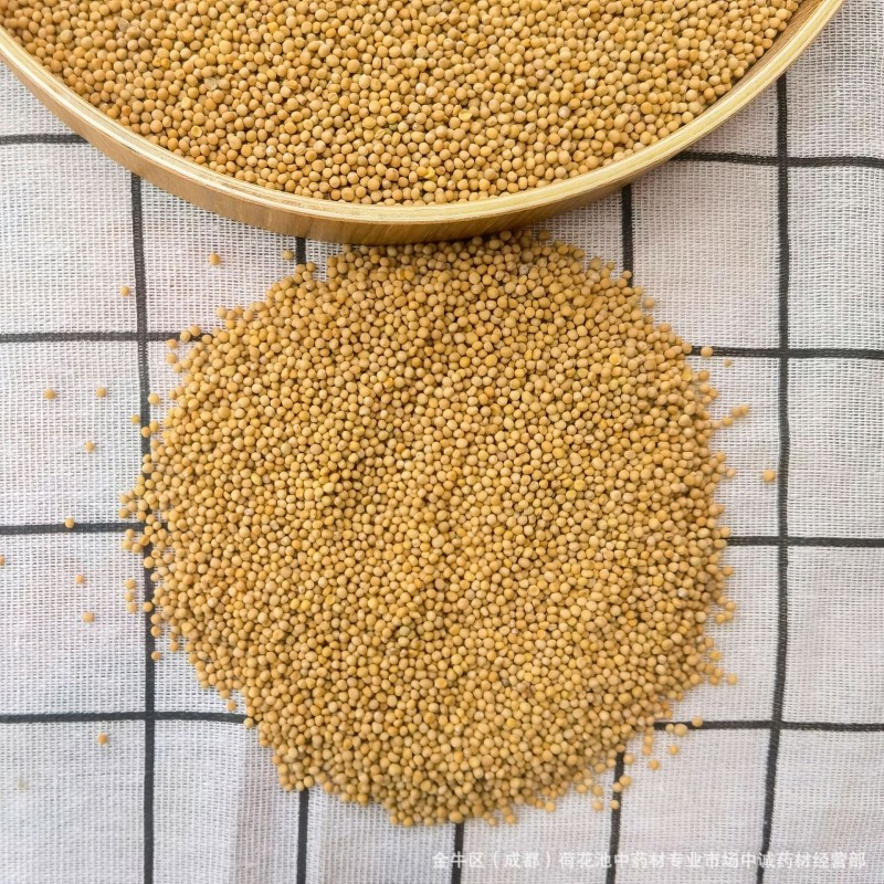 Yellow Mustard Seeds Factory - Single Spices Seasoning