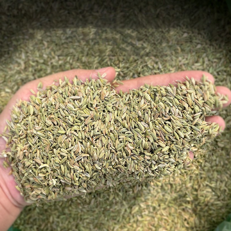 Dried Fennel Seeds Manufacturer - Customizable Organic