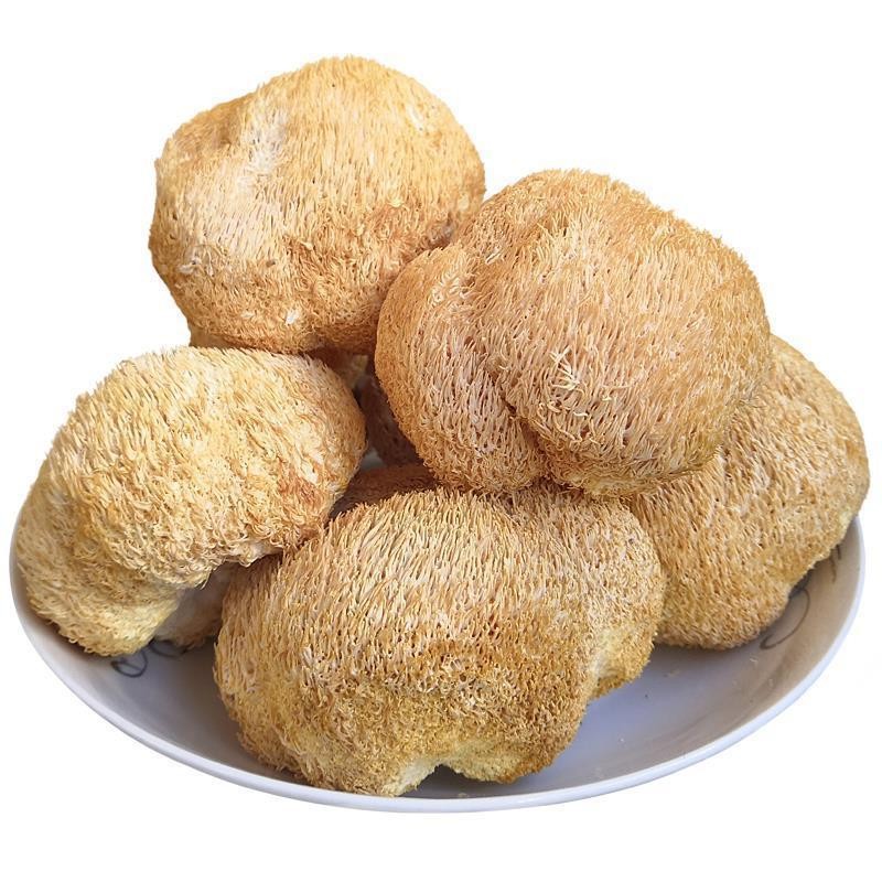 Lion Mane Mushroom Supplier - Whole Dried Cooking