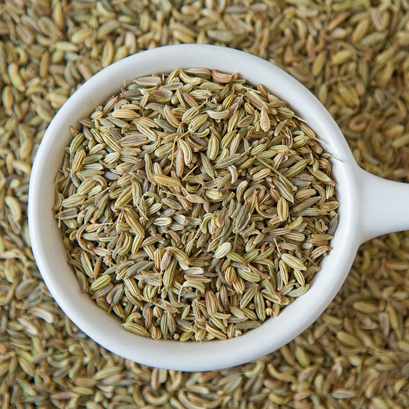 Dried Fennel Seeds Factory - Factory Price Seasoning