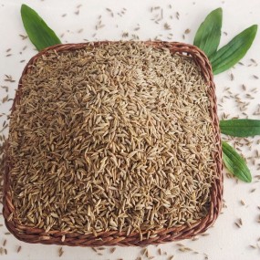 Whole Cumin Supplier - Organic Seasoning Bulk
