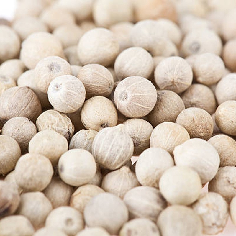 White Pepper Supplier - AD Dried Spice Herbs