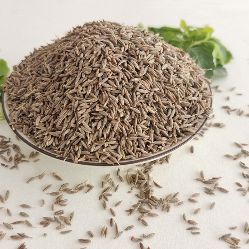 Black Cumin Seeds Factory - Grade A Single Spice