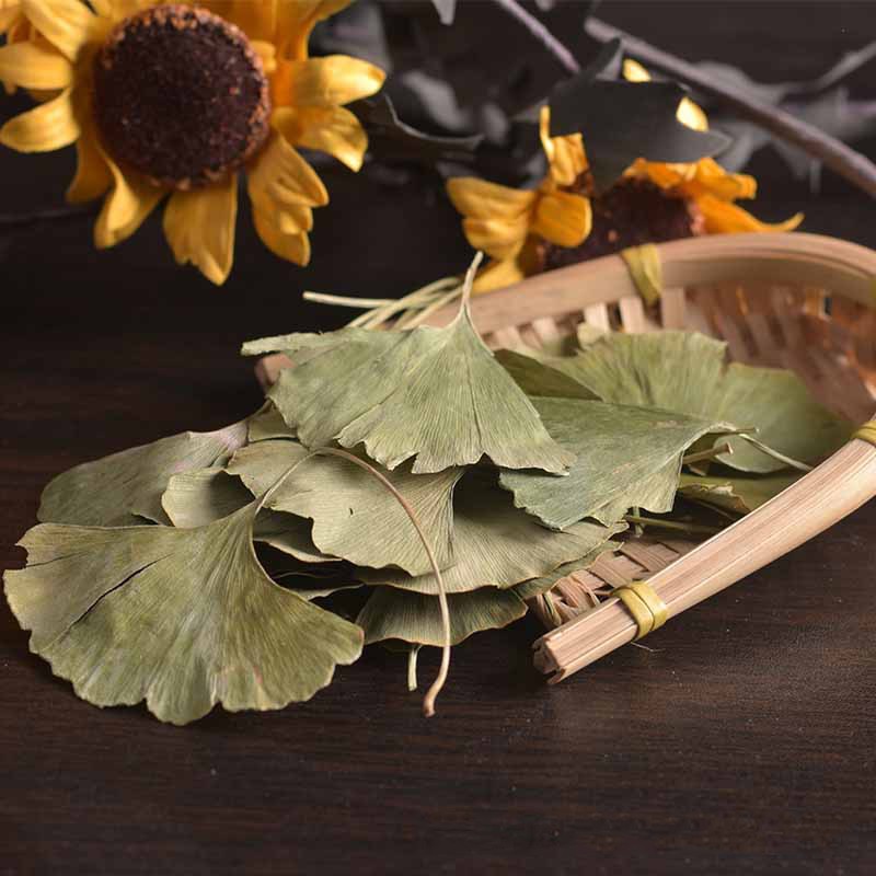 Ginkgo Leaf Manufacturer - Wholesale Natural Herbs