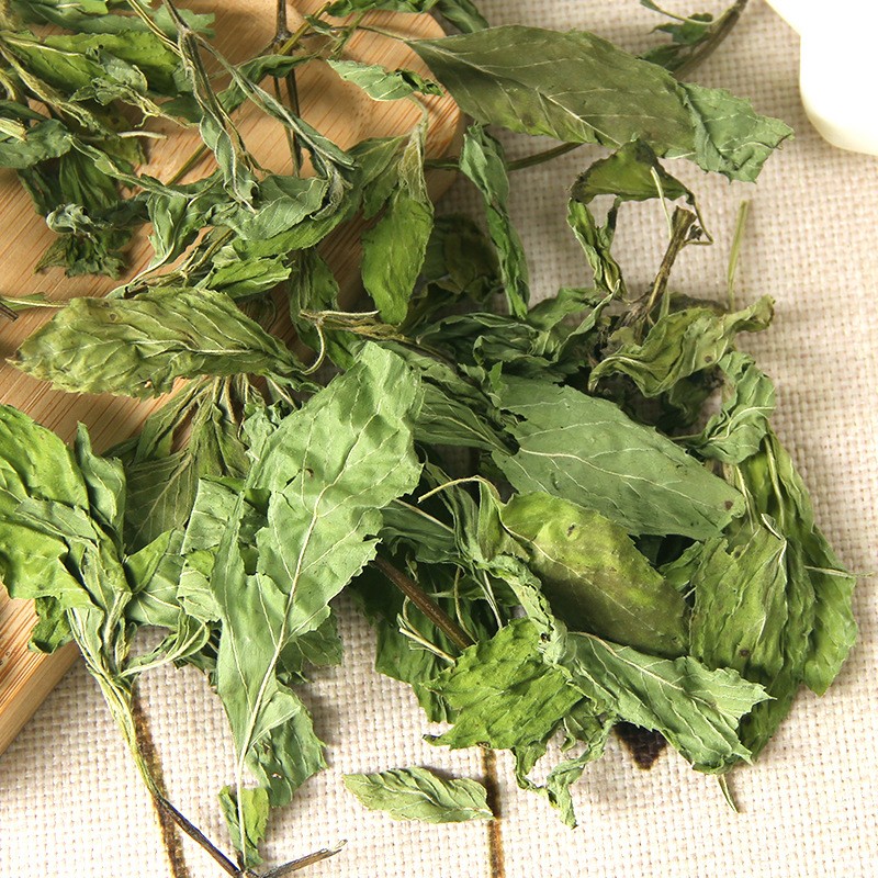 Mint Leaves Tea Supplier - Bulk Dried Herb