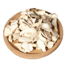 Ginger Slices Factory - Healthy Low Price